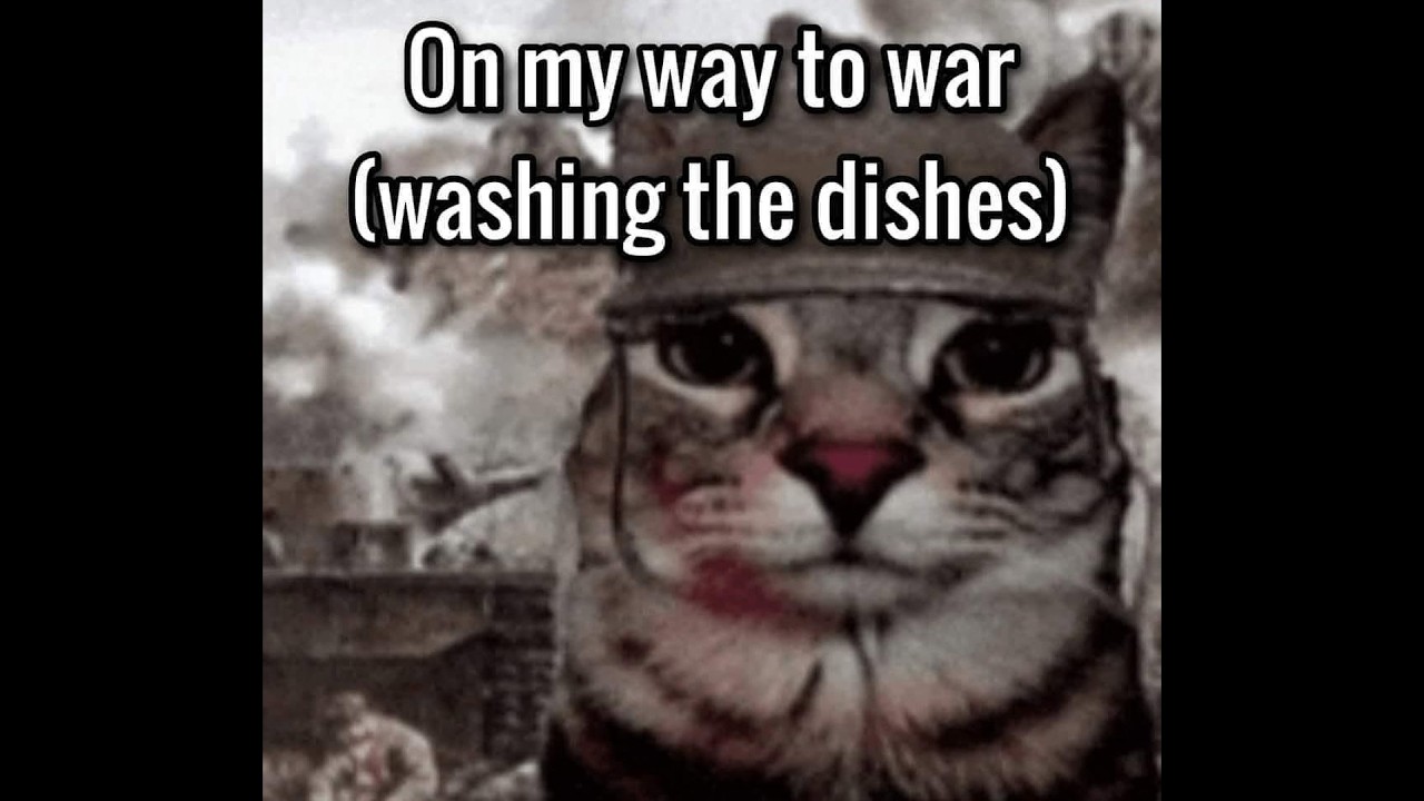 Washing Dishes is a War Crime | Songs No One Asked For