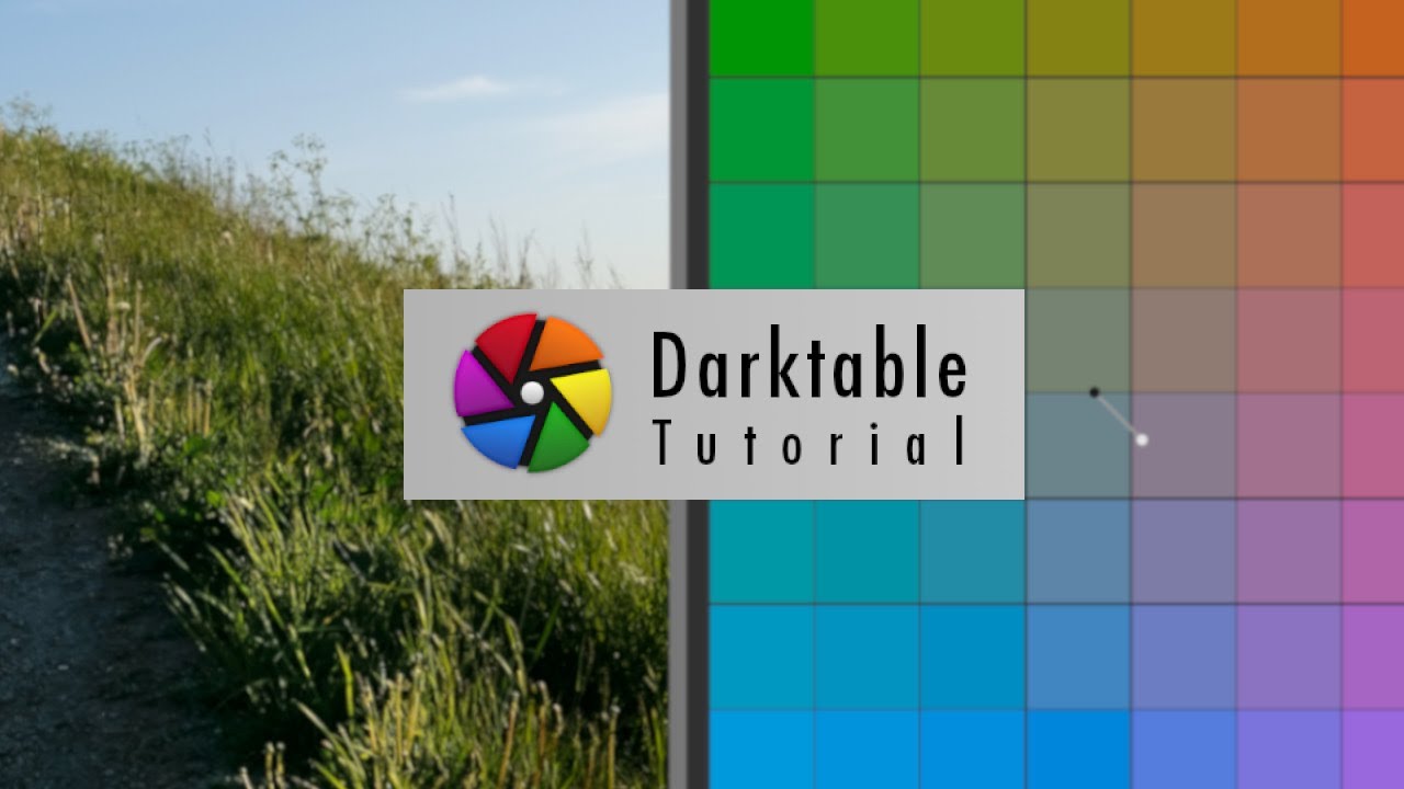 Быстрая цветокоррекция | Урок по Darktable для начинающих