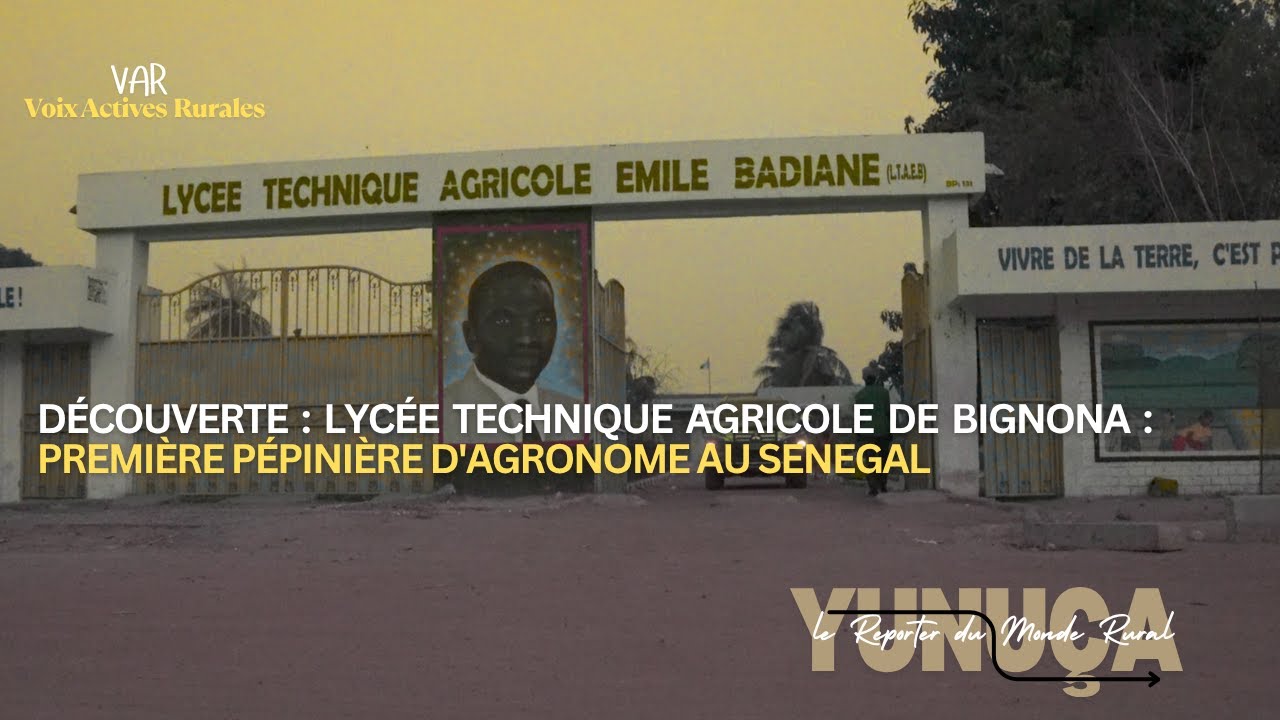 DÉCOUVERTE : LYCÉE TECHNIQUE AGRICOLE DE BIGNONA : PREMIÈRE PÉPINIÈRE D'AGRONOME AU SENEGAL