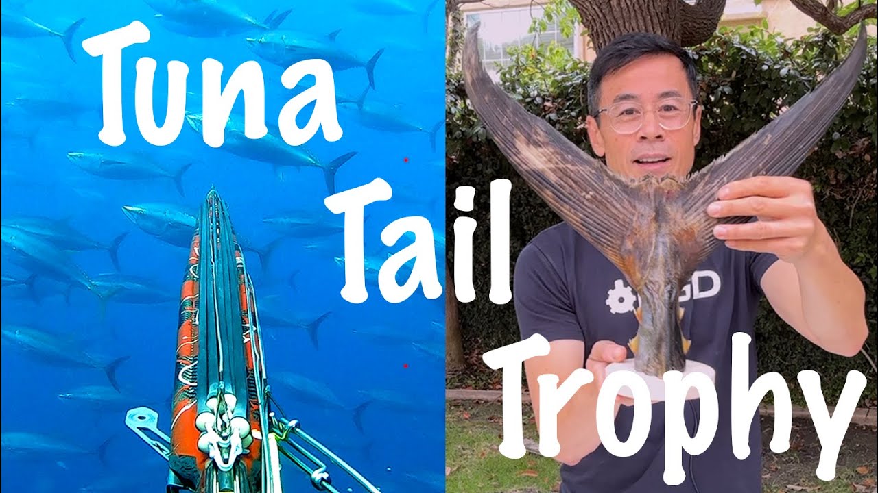 How to make a Tuna Tail Trophy!