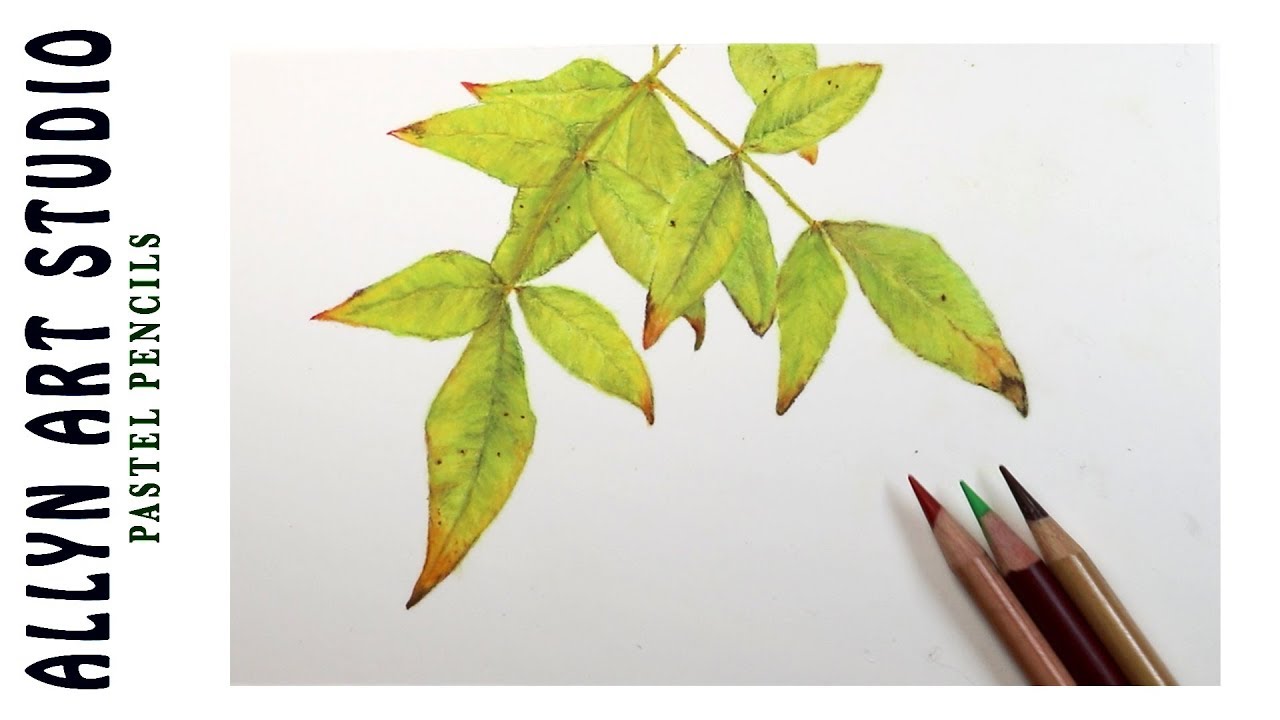 How To Paint Realistic Leaves Demonstration with Pastel Pencils