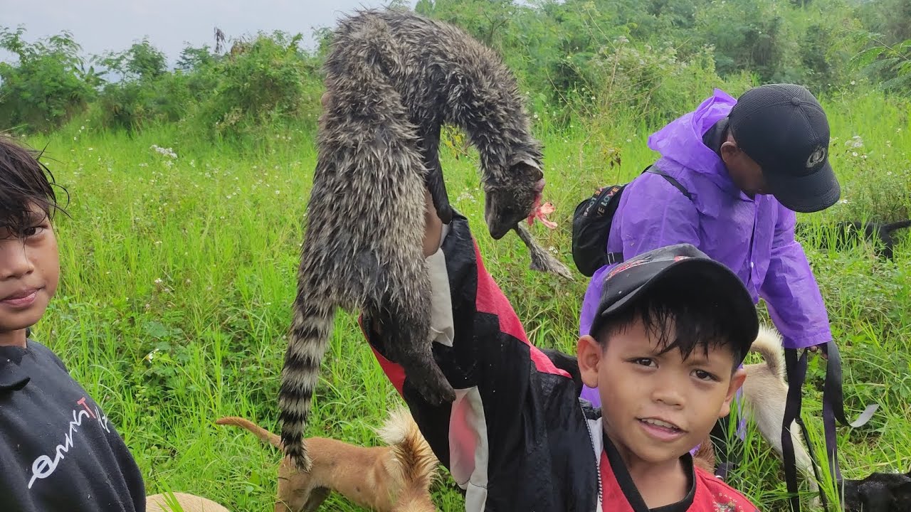 Kejar Dedes garung 