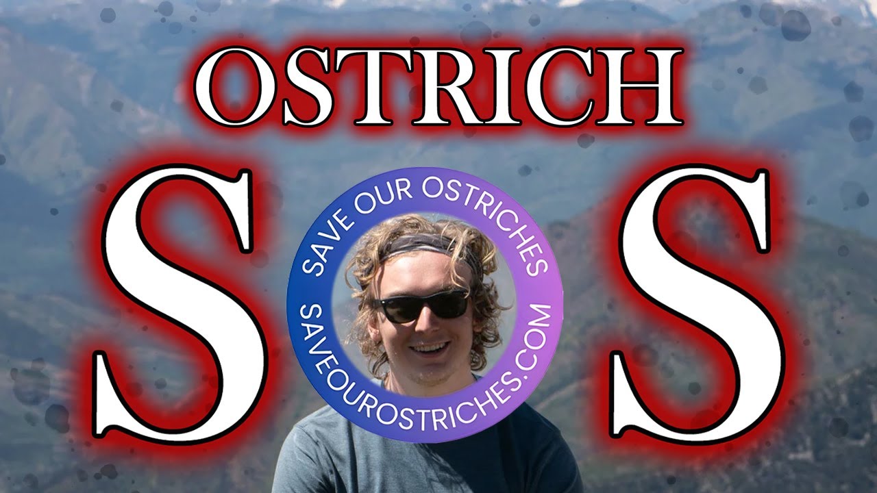 LIAM STRONG INTERVIEW | OSTRICH SOS #saveourostriches