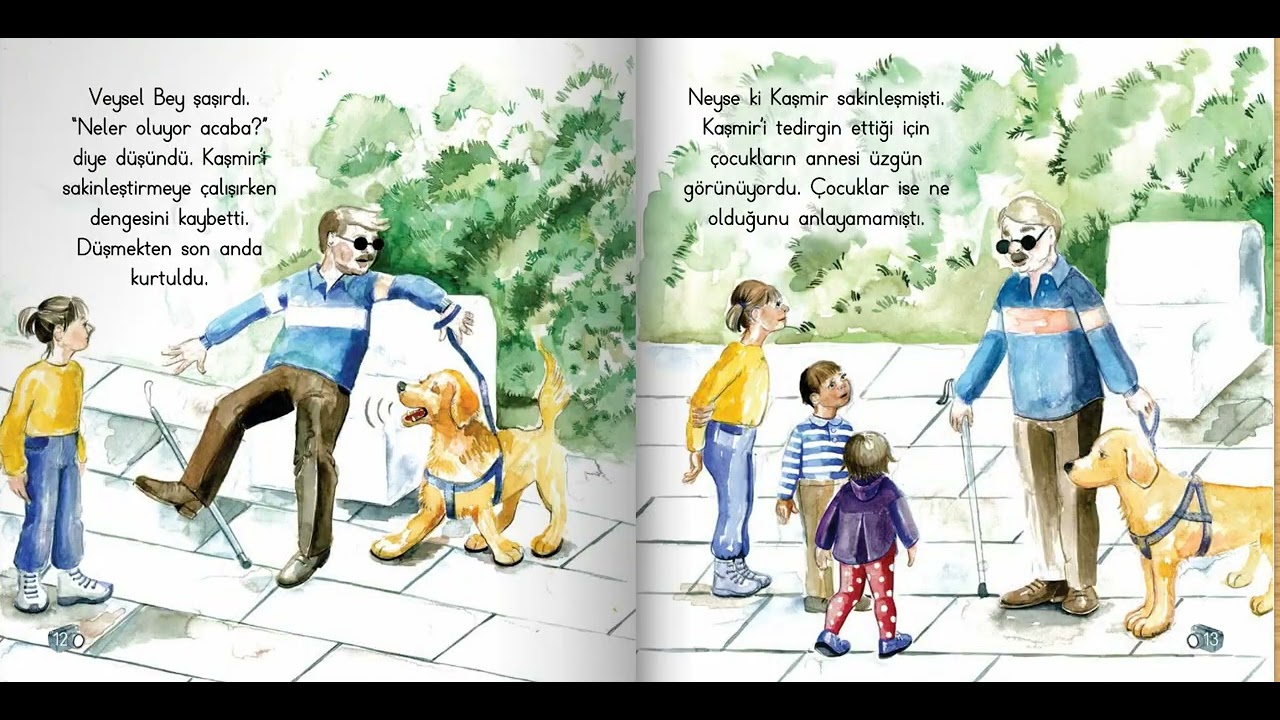 KAŞMİR