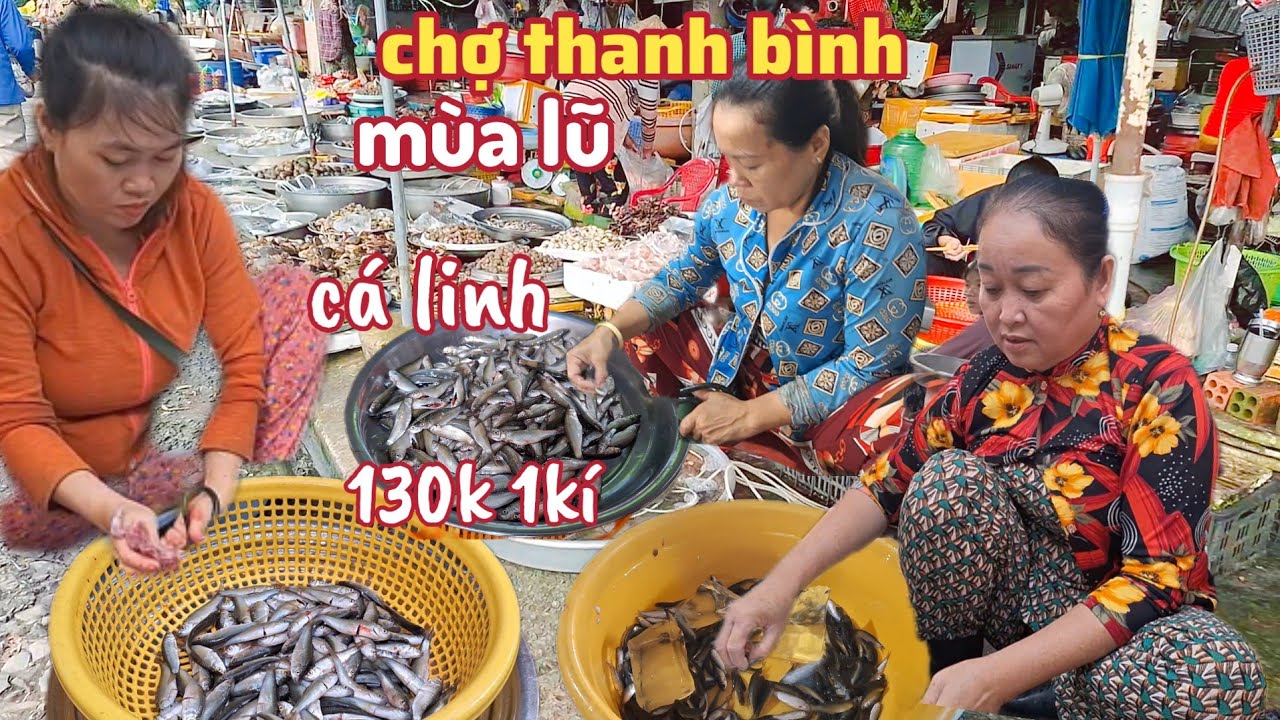 Mùa nước lên đồng Chợ Thanh Bình ngập tràn cá đồng - khách chịu ăn Cá Linh hơn