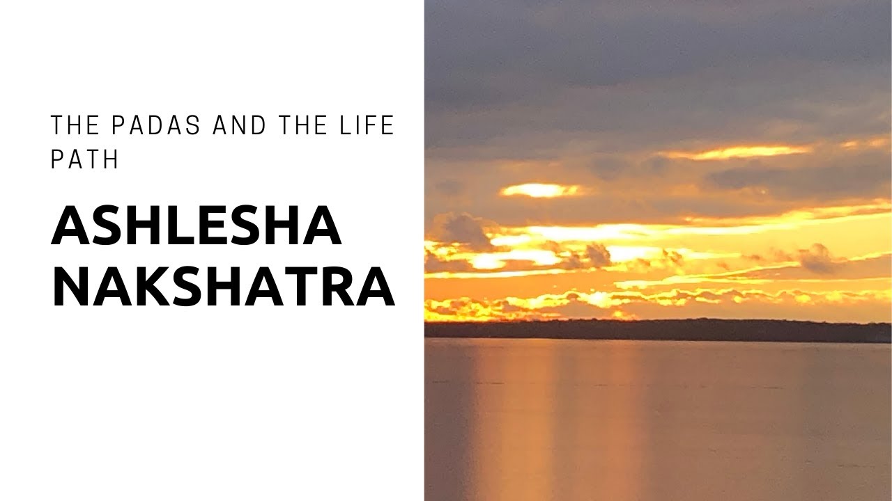 Ashlesha Nakshatra: The Padas and the Life Path