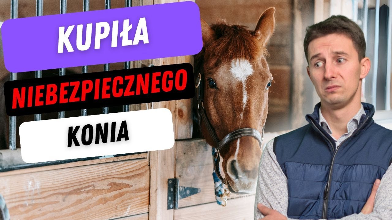 Kupno Konia: Jak Nie Popełnić Fatalnego Błędu?