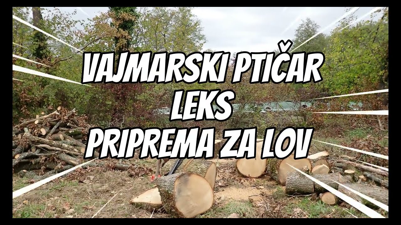 VAJMARSKI PTIČAR LEKS  PRIPREMA ZA LOV