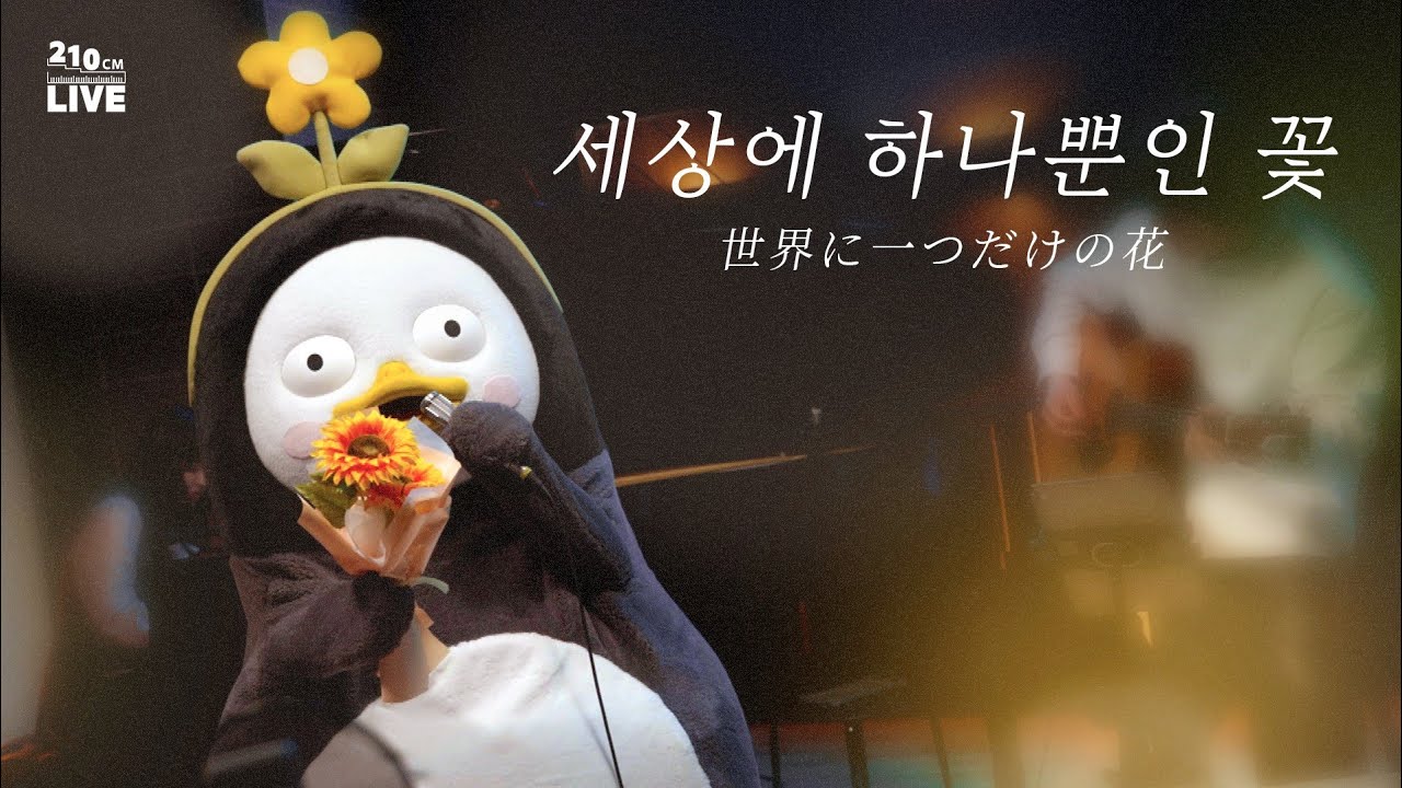 [210cm 라이브] 데뷔 7주년을 맞이한 펭수의 음악 선물 🎁 SMAP-세상에 하나뿐인 꽃