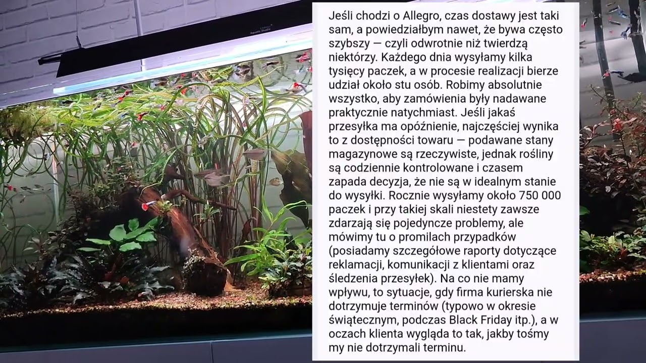 Invital wyjaśnia.