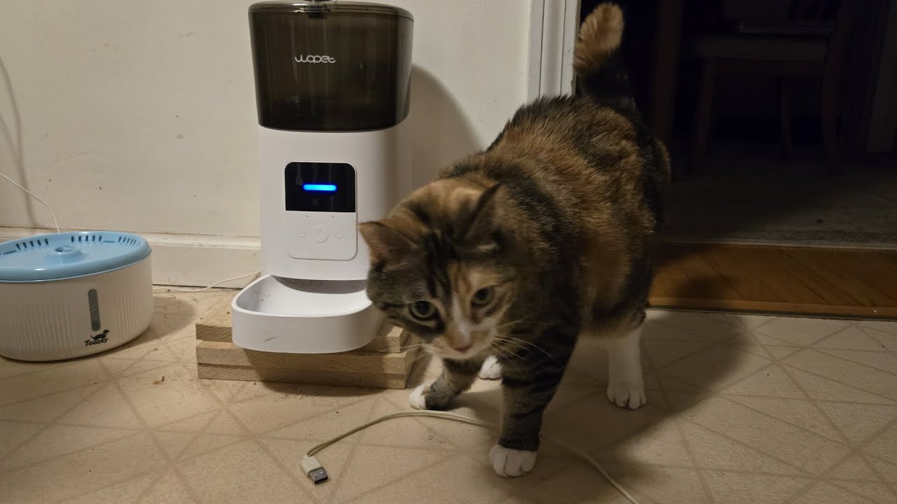 Wopet Feeder Power Analysis