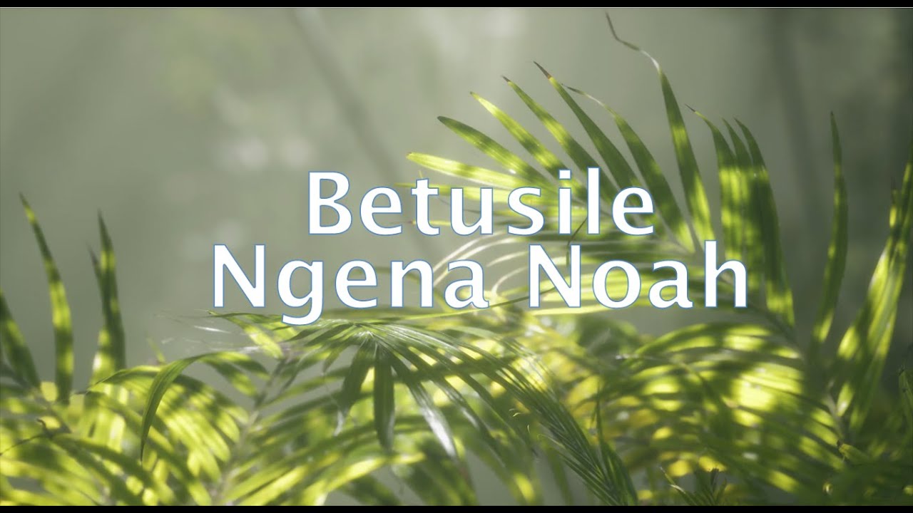 Betusile - Ngena Noah (Official Lyric Video)
