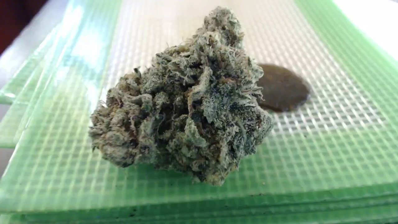 Strain Review - Rom - Romulan - MMJ Total Health Care
