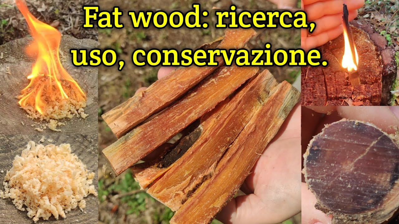 Fat wood, legno grasso: dove trovarlo, come lo uso e come conservarlo + candela.