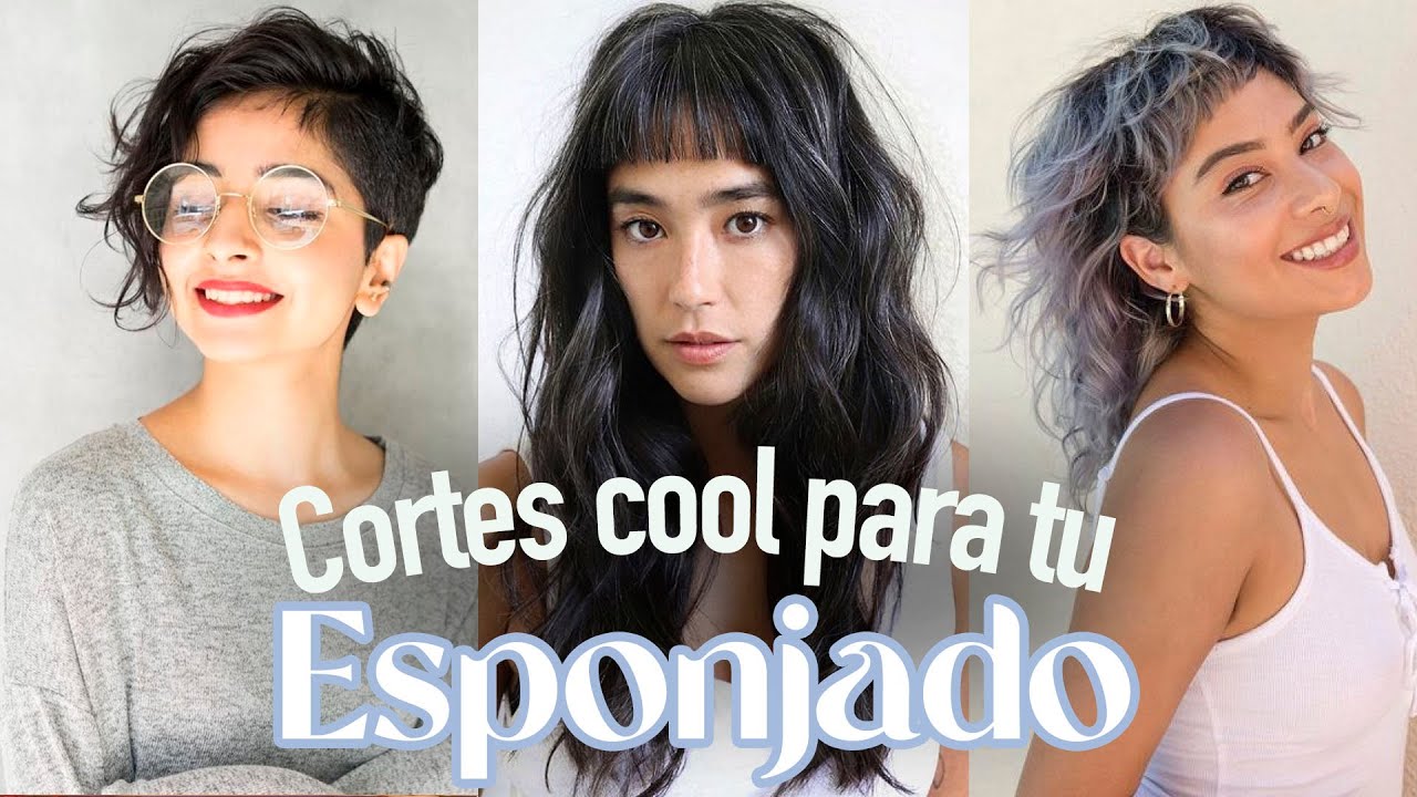 CORTES PARA CABELLO ESPONJADO 🦁