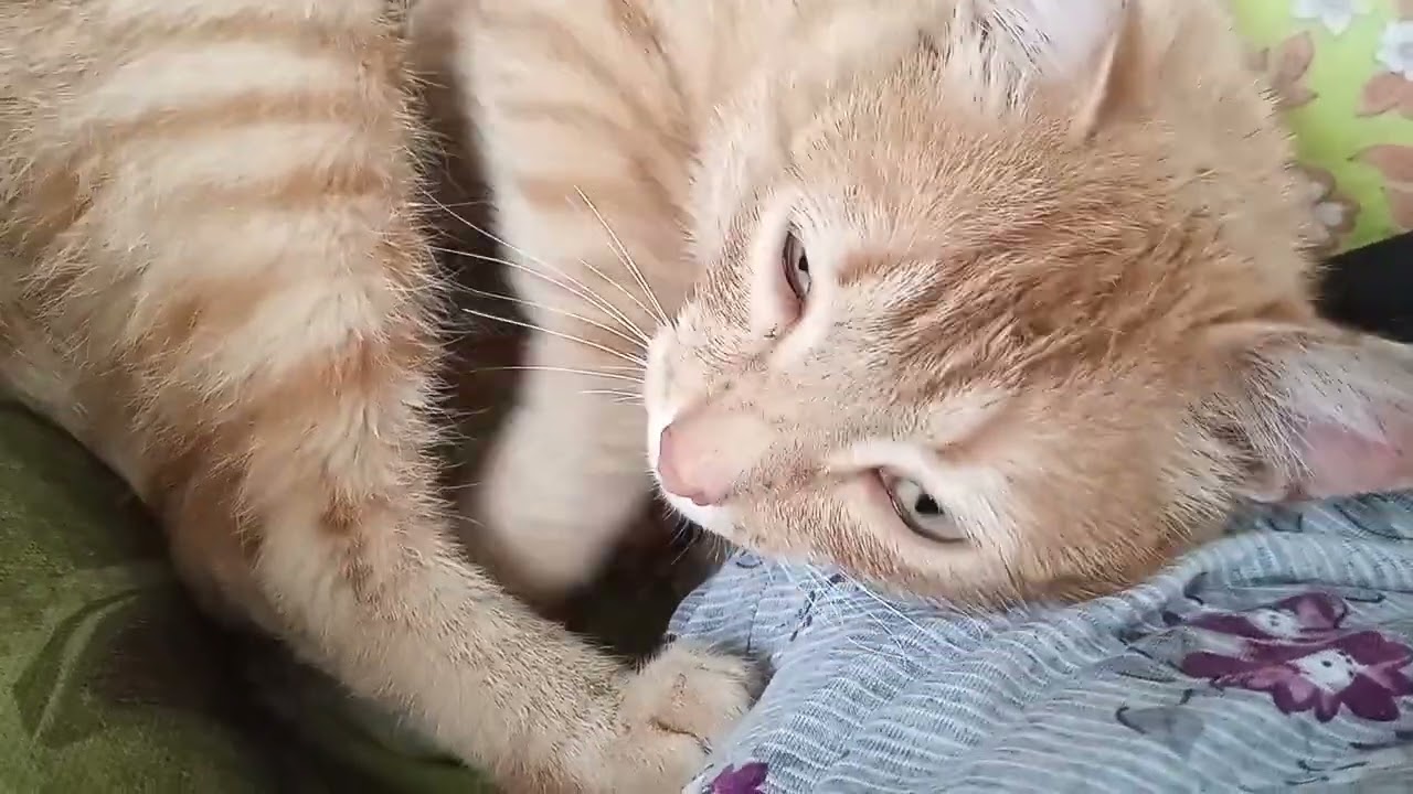 ПОКАЗЫВАЮ СВОЙ БЫТ В НОВОМ ДОМЕ