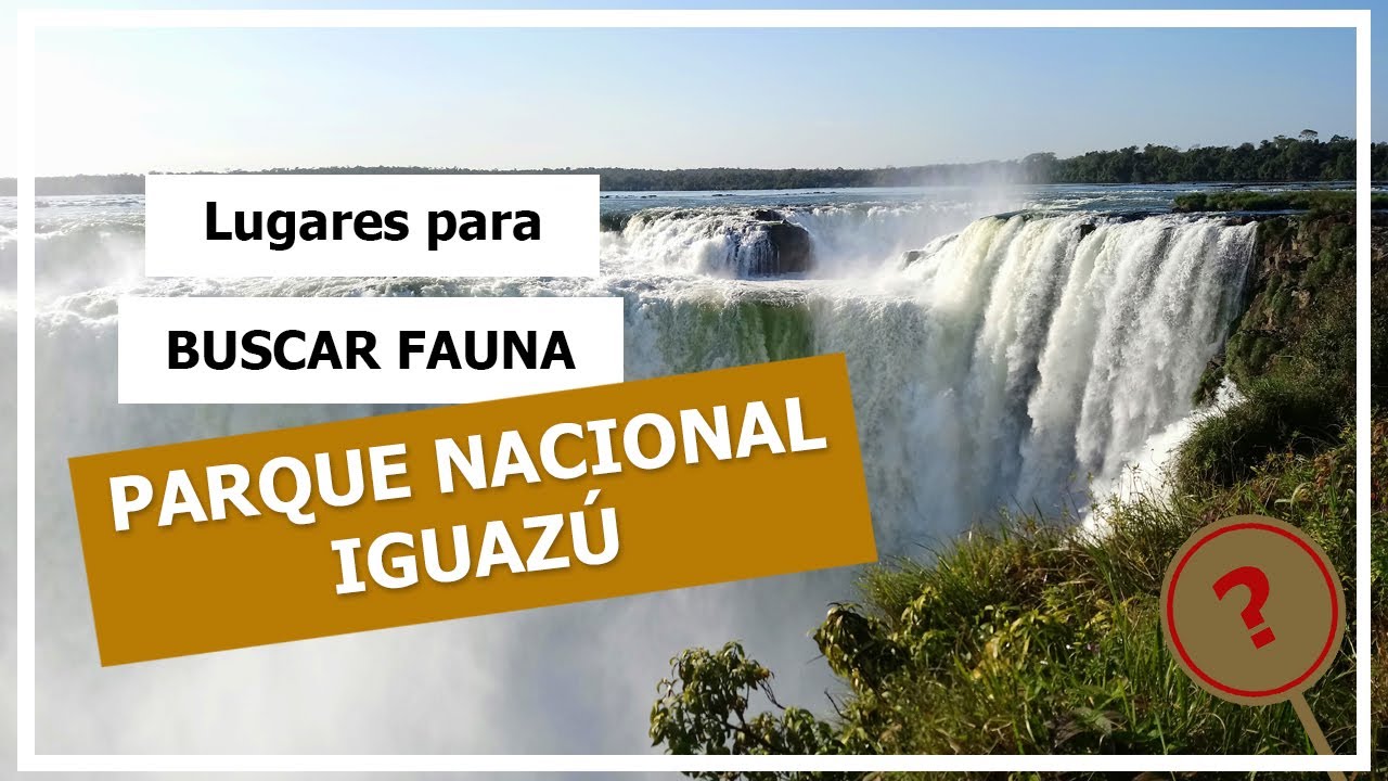 Lugares para buscar fauna #2 &ndash; Calificando al PARQUE NACIONAL IGUAZ&Uacute; &ndash; Buscando Fauna