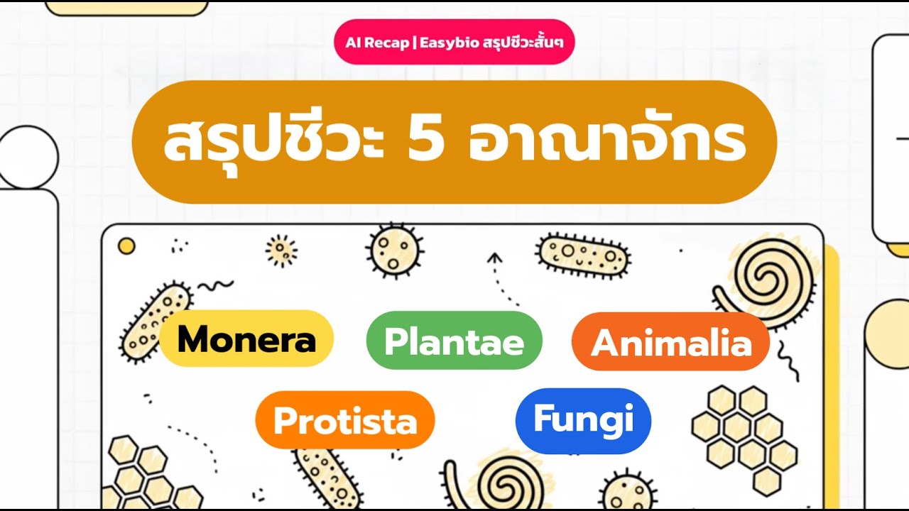 สรุปชีวะ ความหลากหลายทางชีวภาพ 5 อาณาจักร - AI Recap | EasyBio สรุปชีวะสั้นๆ
