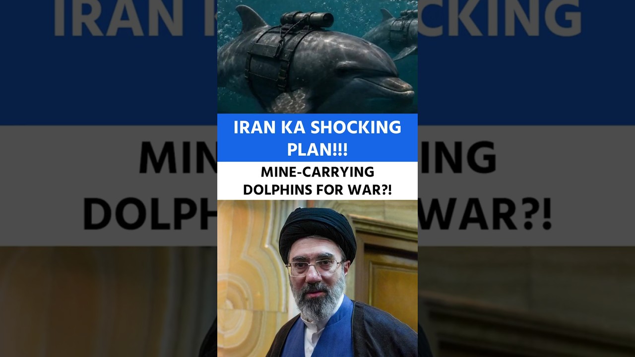 Mine-carrying Dolphins FOR WAR?! | Iran ka shocking plan!!! | #facts #iranisraelwar