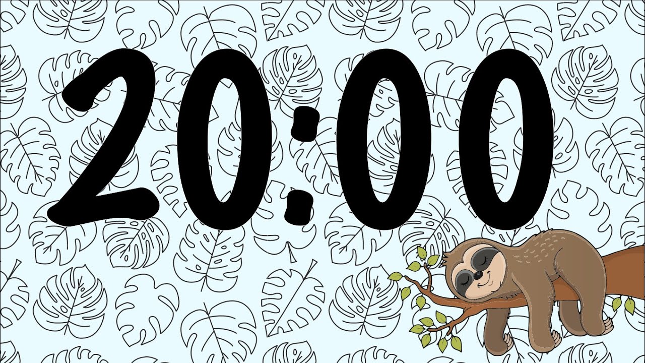 20 Minute Sleepy Sloth Timer (Summer Synth Tones at End)