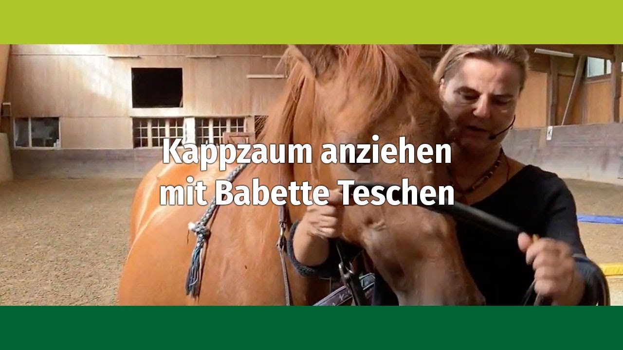 Wie ziehe ich den Kappzaum an? Babette Teschen zeigt Dir wie Du es richtig machst.