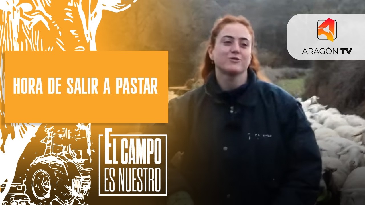 Hora de salir a pastar