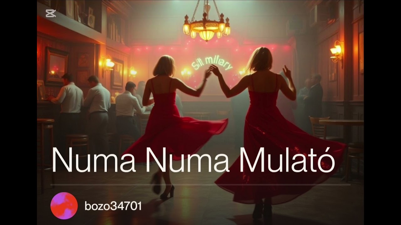 Bozo3470: Numa Numa Mulató (Official Musik)