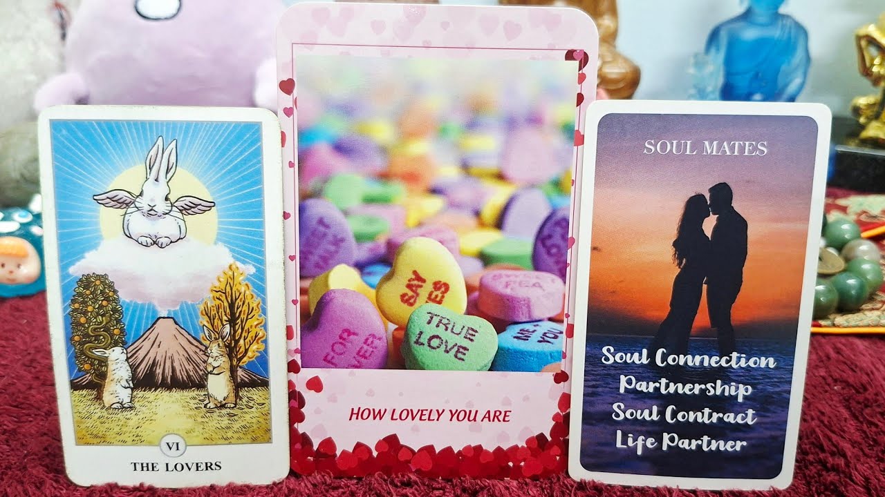 Họ đang nghĩ gì về liên kết hiện tại🥰💖💥#vtarot #xemtarot 