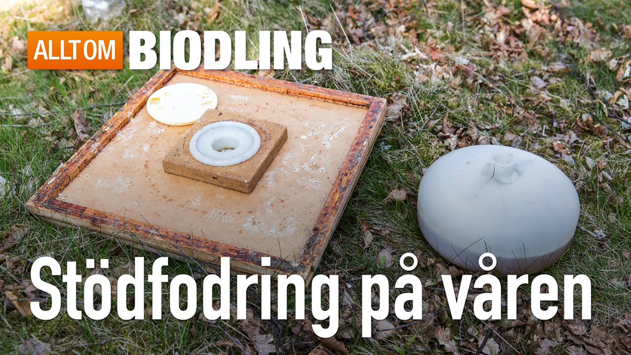 St&ouml;dfodring p&aring; v&aring;ren - Biodling