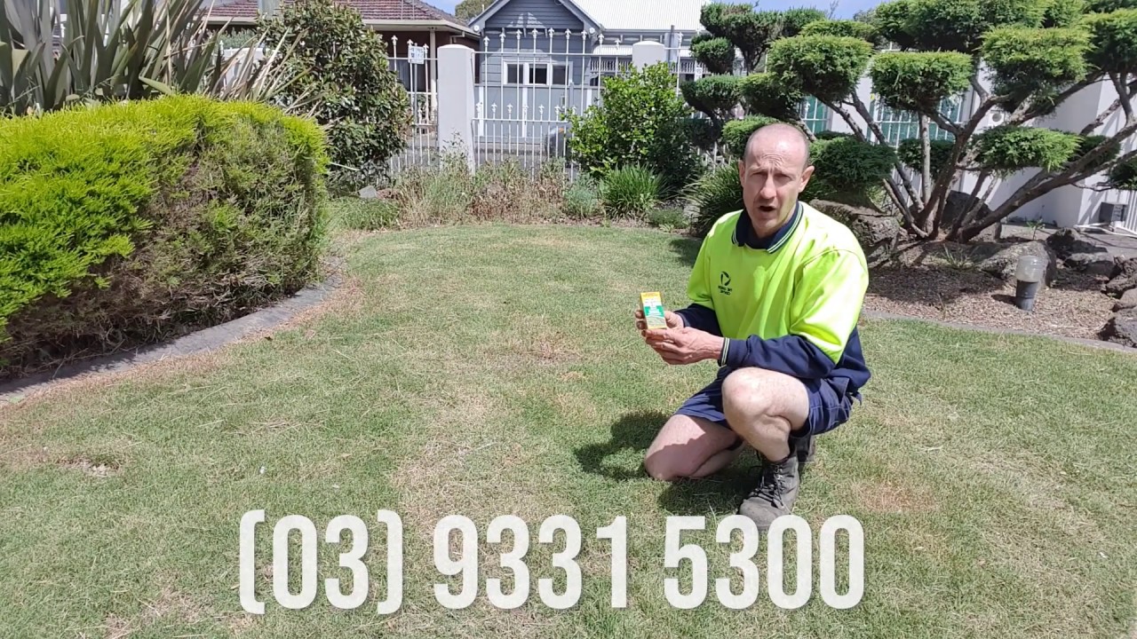The Green Centre Melbourne - Amgrow Weed Killer