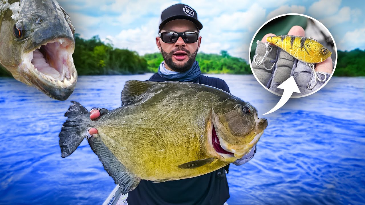 Le plus GROS PIRANHA du monde dévore mon leurre !