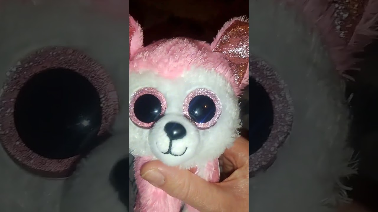 Reviewing my newest beanie boos 💕💙