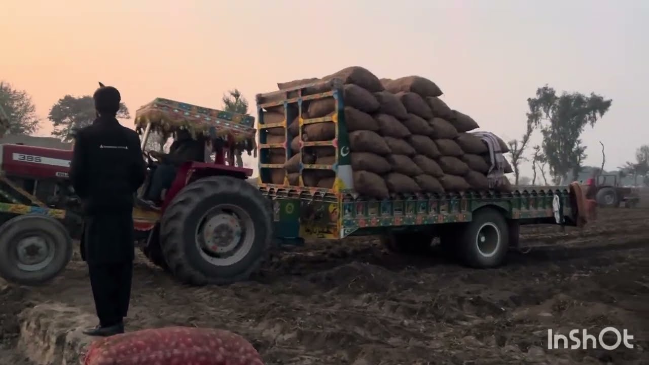 Allo sale kr diye 😍\allo ka rate or kissan ki tabahi😭😭#vlog #potato #viral #farming #vlogging g
