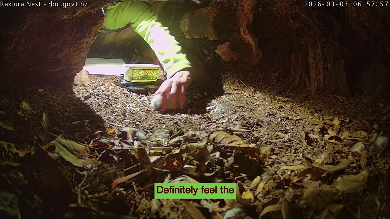 Nora-A2 and Vori-A1 follow up crop check and weight - 3 March