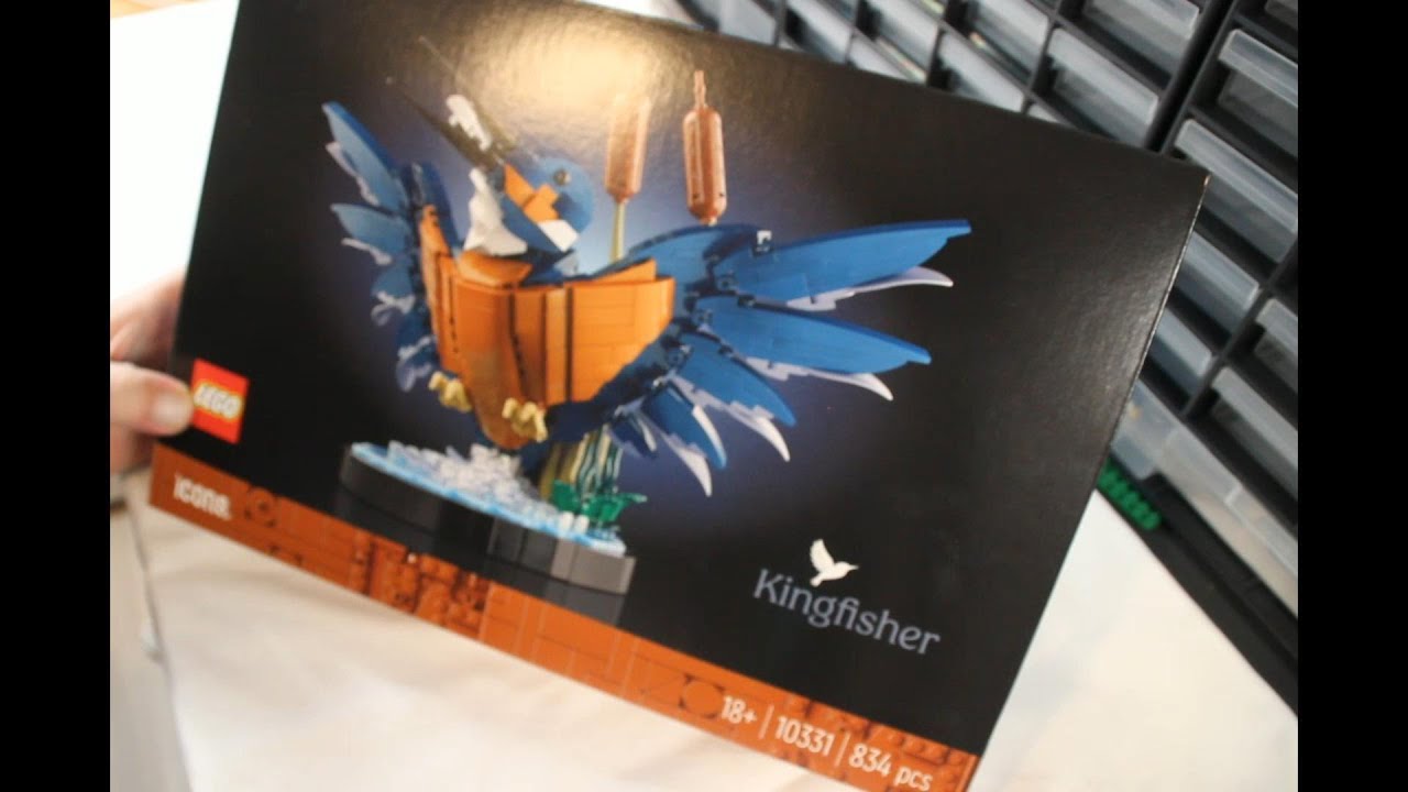 Lego 10331 - Kingfisher - Der Eisvogel, tolles Displaymodell, nix zum spielen ;)