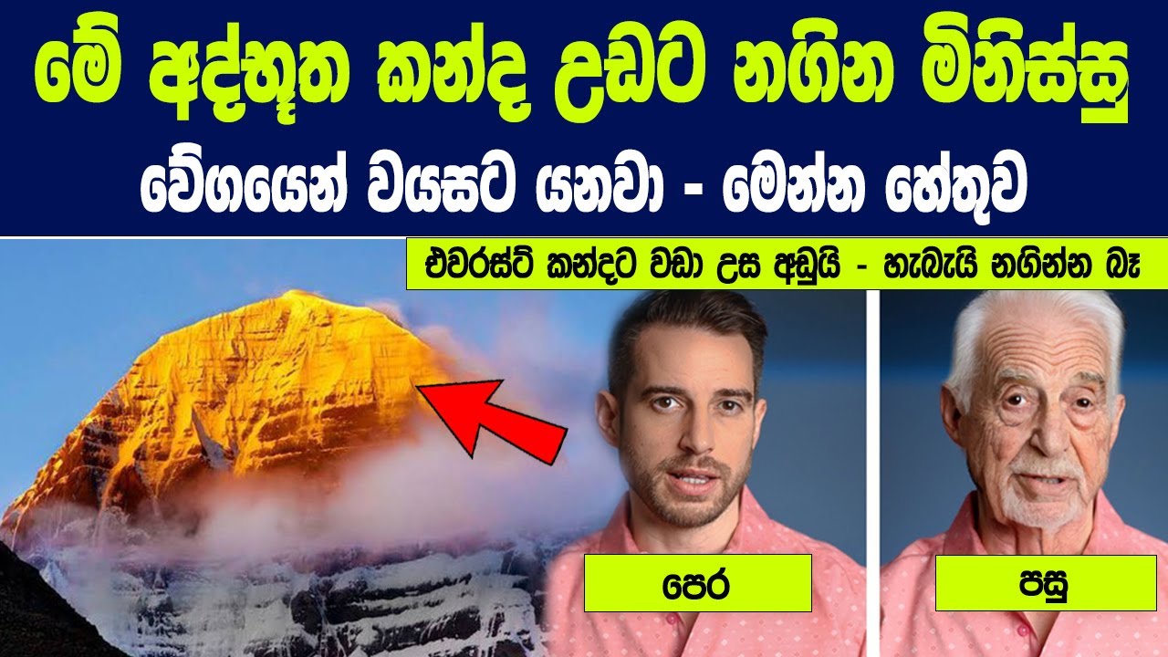 ලෝකයේ වඩාත්ම අද්භූත කන්ද කෛලාශ් කන්දේ සැගවුණු අභිරහස් මෙන්න | The Secrets of Mount Kailash