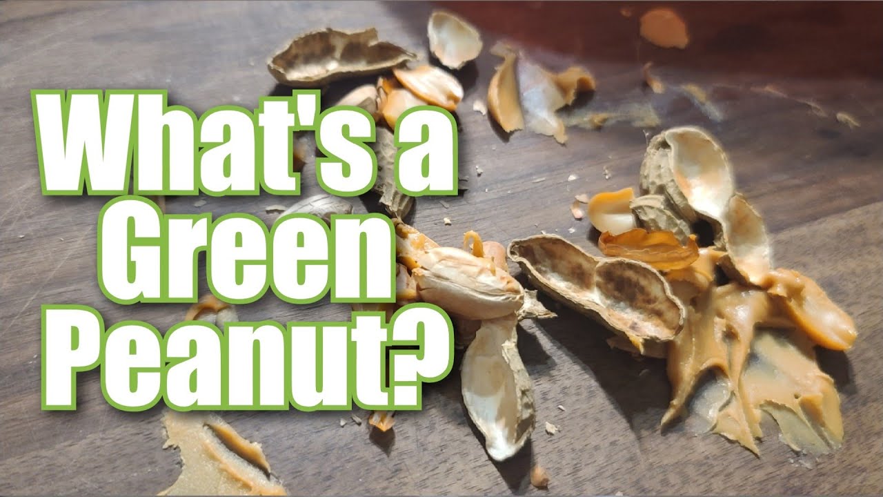 Processing Peanuts at Home | Green and Dry, Roasted