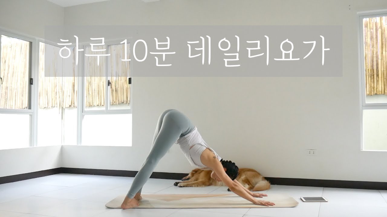 [EVA YOGA]하루 10분 데일리요가