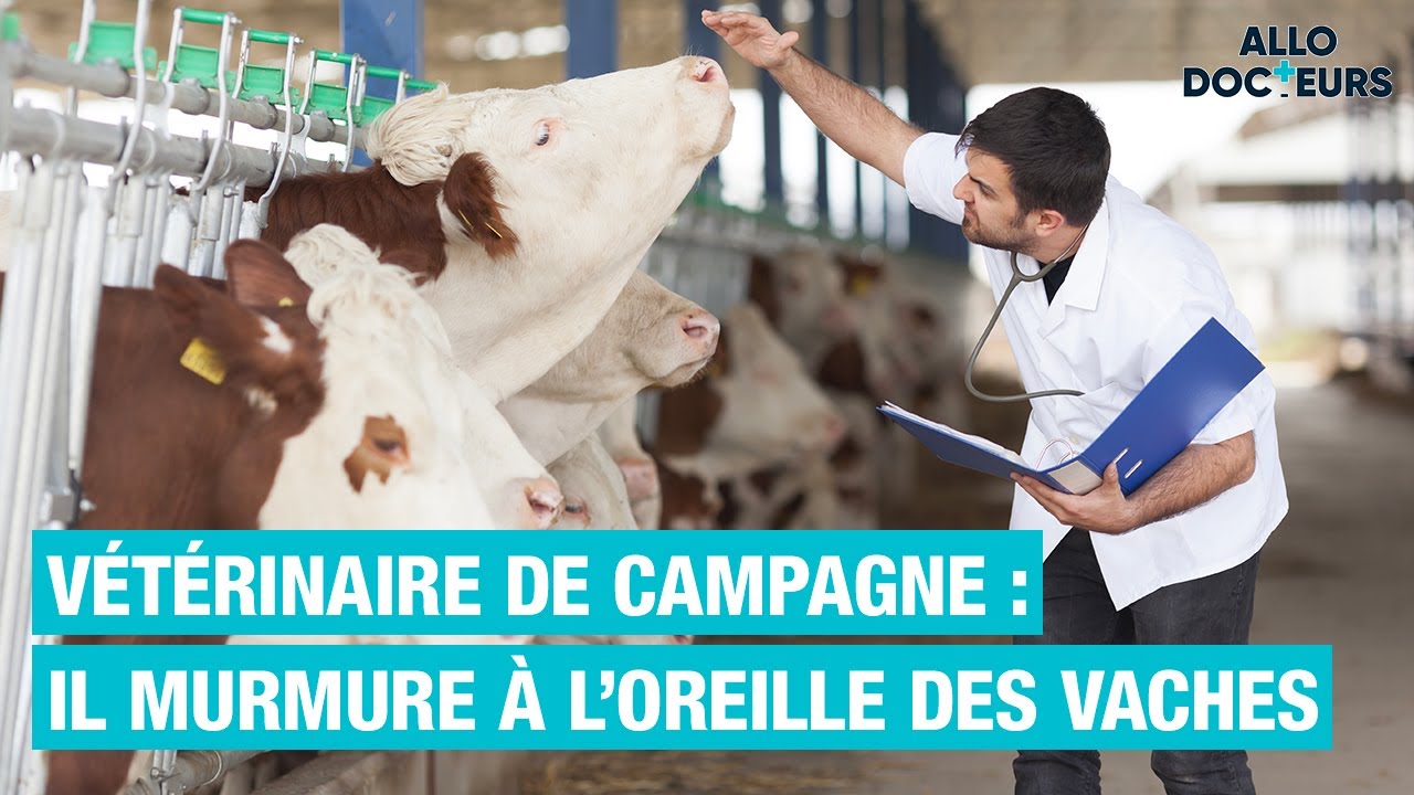 🐮 Une journée avec un VÉTÉRINAIRE de campagne !