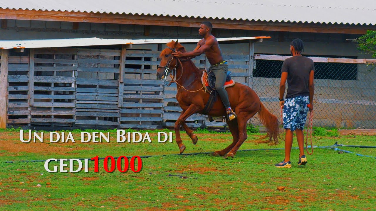 Un dia den Bida di Gedi1000 (Finka Disiplina)