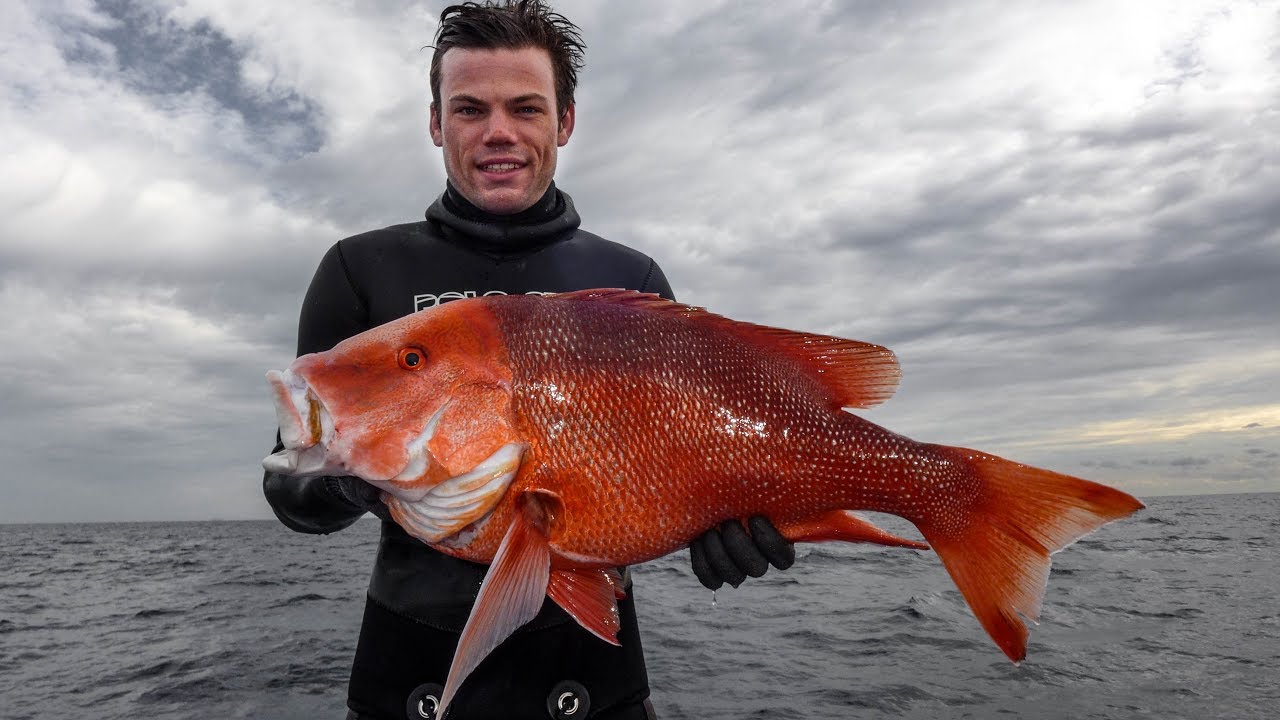 Possibly my favourite Spearfishing trip in Australia & first Red Emperor