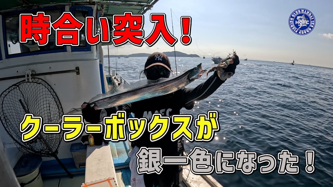 時合い突入！！クーラーボックスが銀一色になった！！MGFC #18#釣り #fishing #fishinglife #fishingvideo#太刀魚