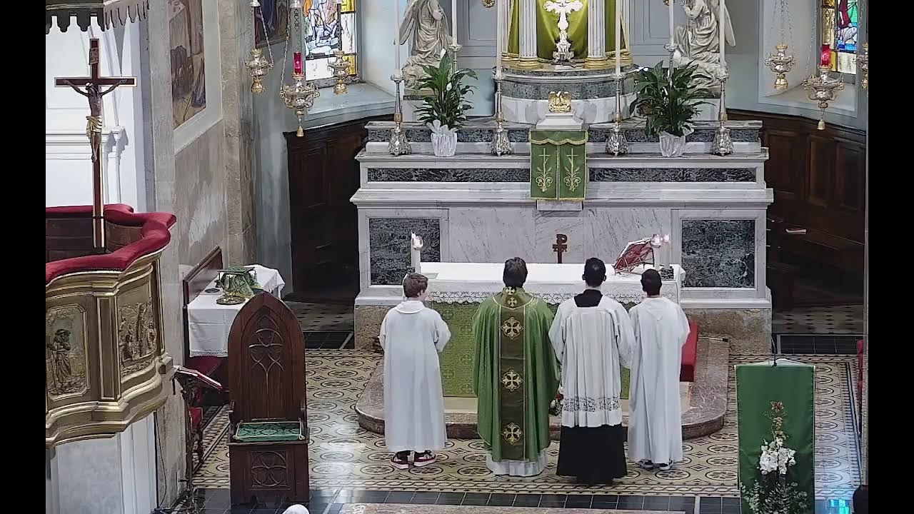 Santa Messa 1° febbraio 2026  in diretta dalla Parrocchia di Roncello