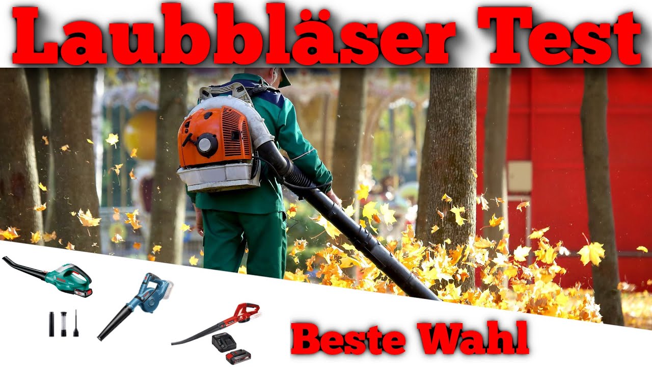 ᐅ Laubbl&auml;ser Test 2024 | Die besten Laubbl&auml;ser vorgestellt