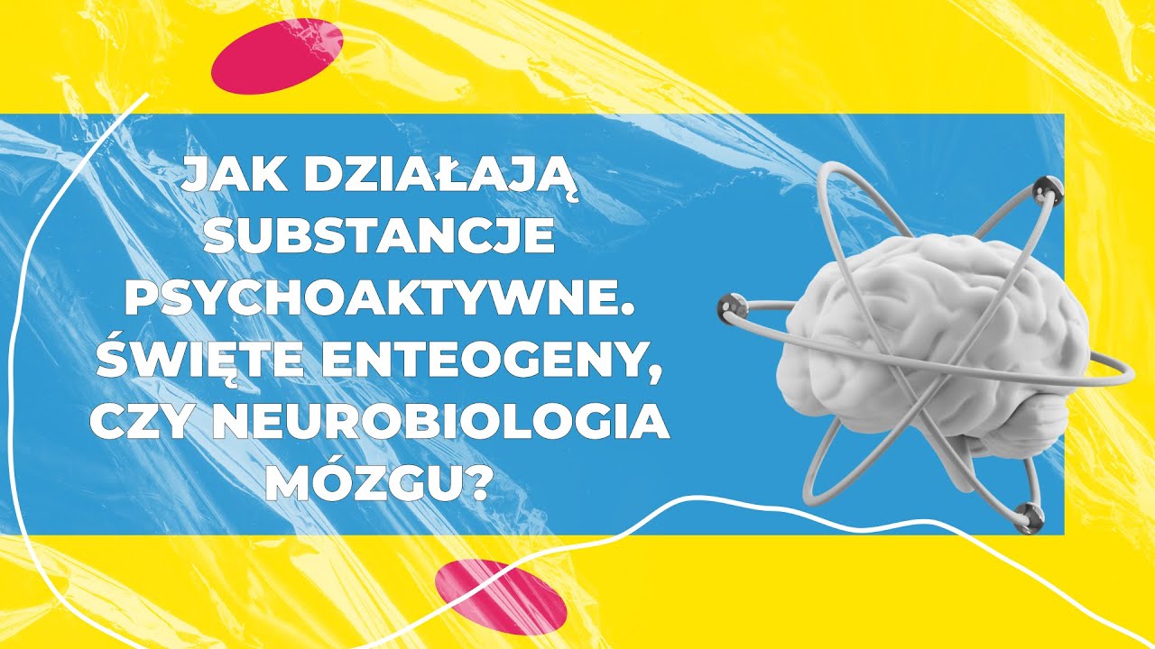 Substancje psychodeliczne, święte enteogeny czy neuropsychologia m&oacute;zgu - panel Festiwal Wibracje