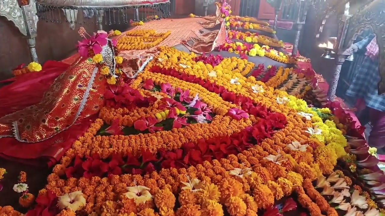 जय मां बाला त्रिपुर सुंदरी बड़हिया। दिनांक 24,02,2026 आज का दर्शन। जय माता दी 🙏🙏🌺🌺🍓🍓🍇🍇🥥🥥