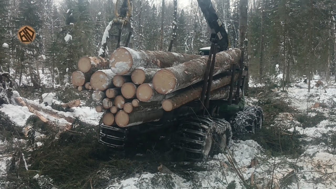 Пилим потихоньку 🌲❄️