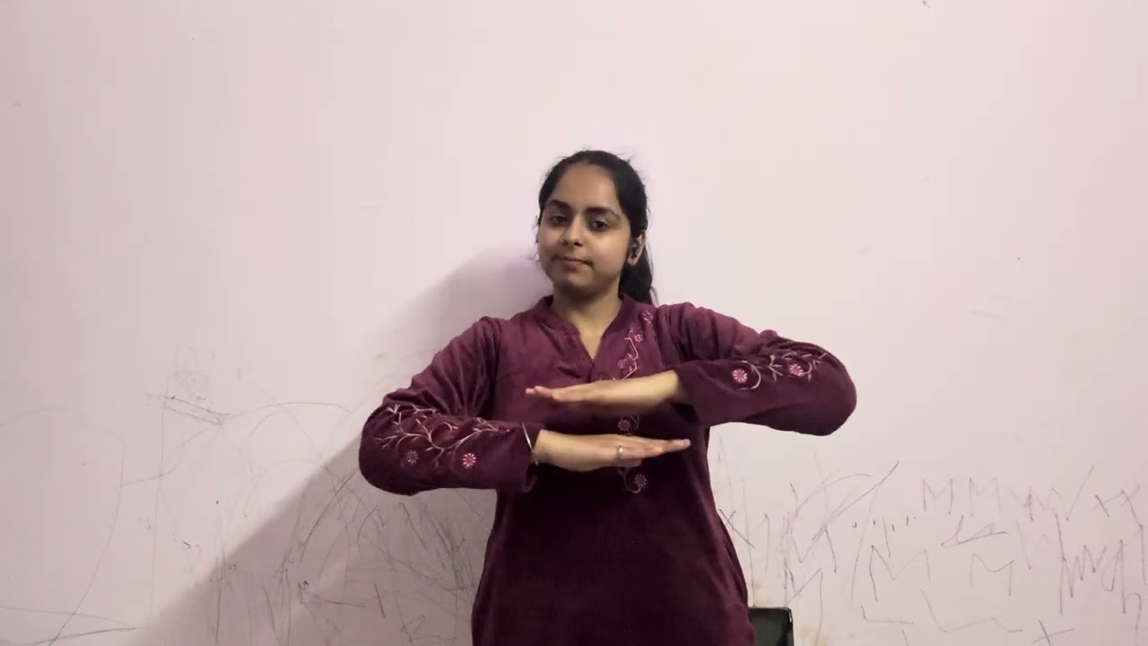Indian international trade fare vedio by juhi 