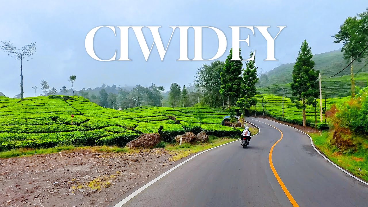 SUASANA JALAN KE KEBUN TEH RANCABALI CIWIDEY | SEJUK DAN INDAH