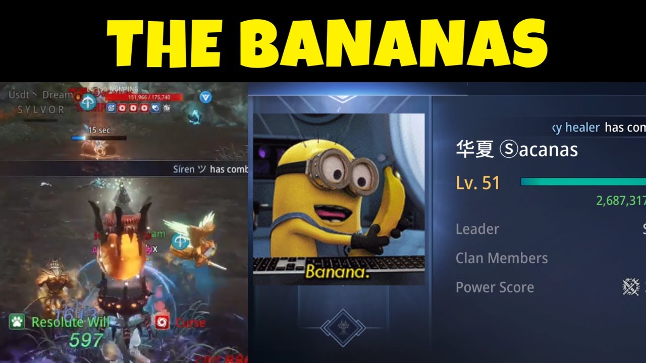 INMENA13 - THE BANANAS!